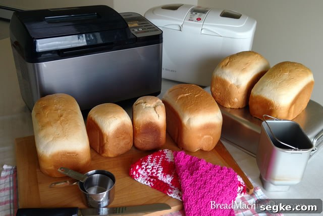 Oatmeal Loaf Recipe for Bread Machines 4 Many loaves of Bread