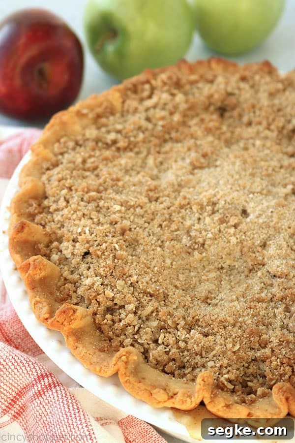 Dutch Apple Pie whole.