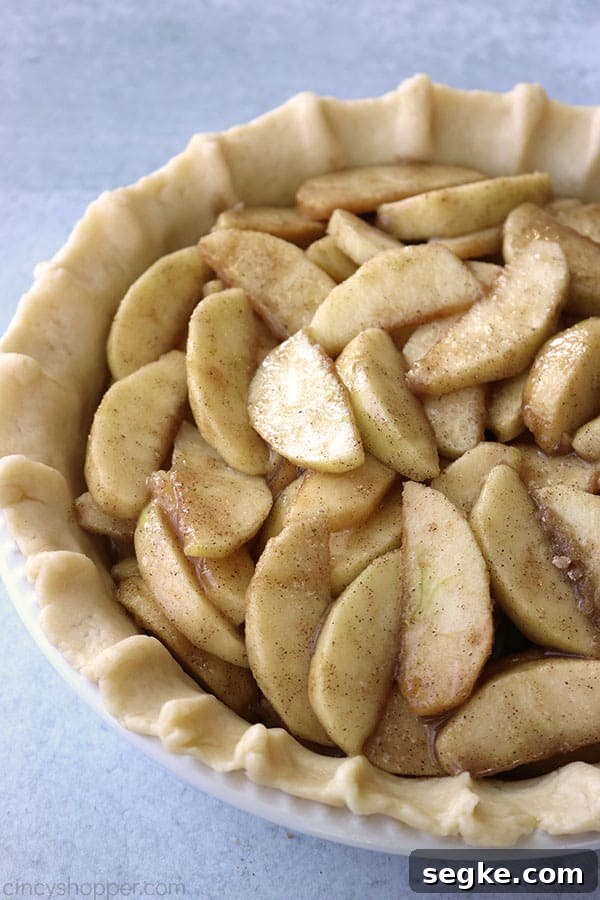 Apple pie filling in crust.