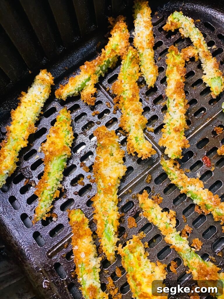 Air Fryer Jalapeno Fries