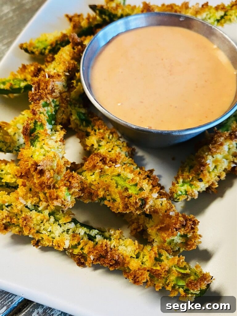 Air Fryer Jalapeno Fries
