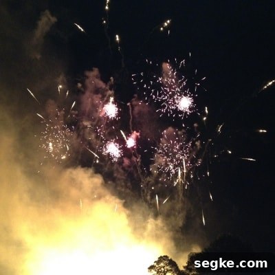 Epcot IllumiNations Show img 5265 10