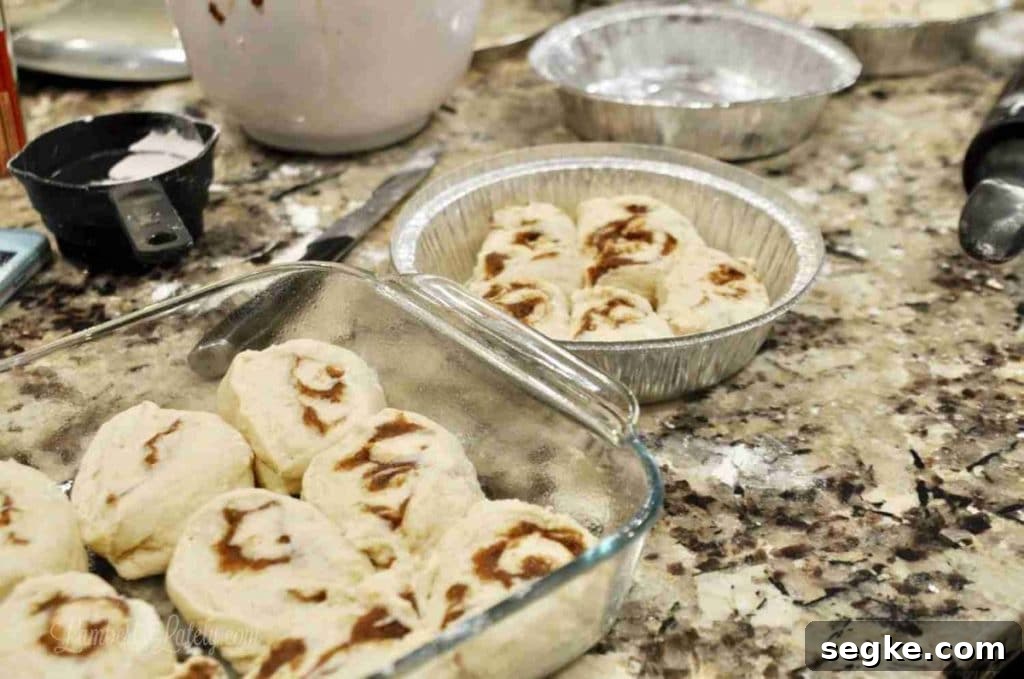 cut cinnamon rolls in baking dishes.