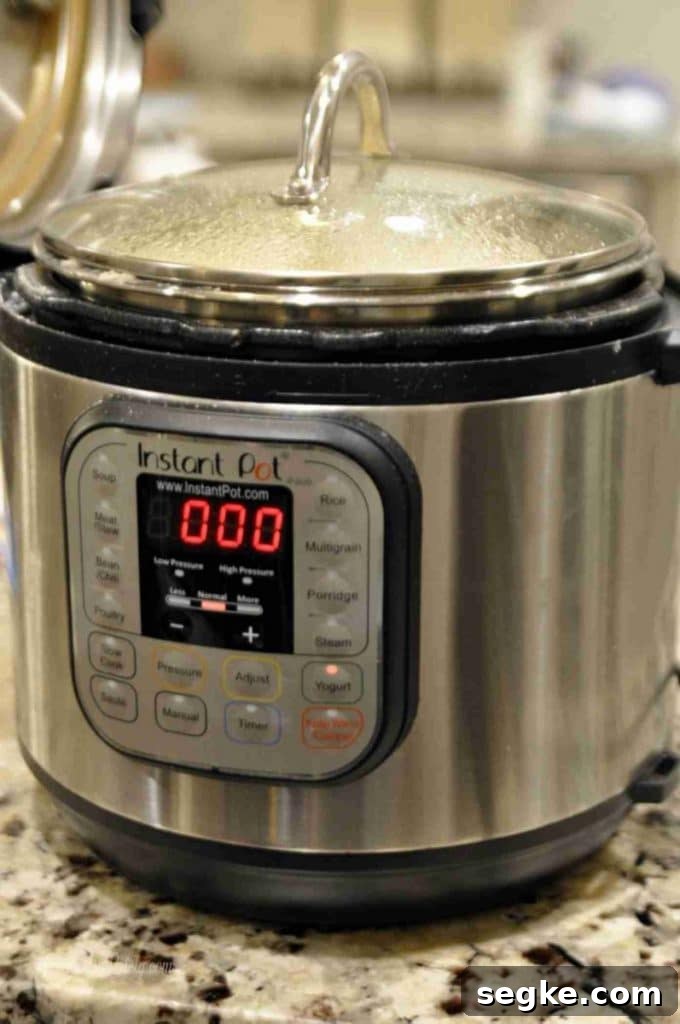 Instant Pot on a counter.