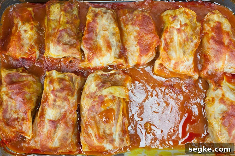  baked Cabbage Rolls in a glass baking dish