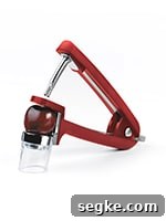 cherry olive pitter