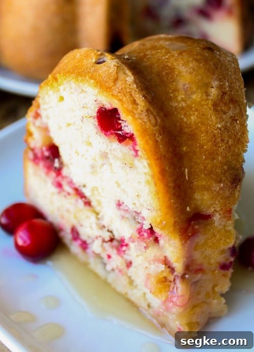 Cranberry Cake with Warm Vanilla Butter Sauce on a white plate.