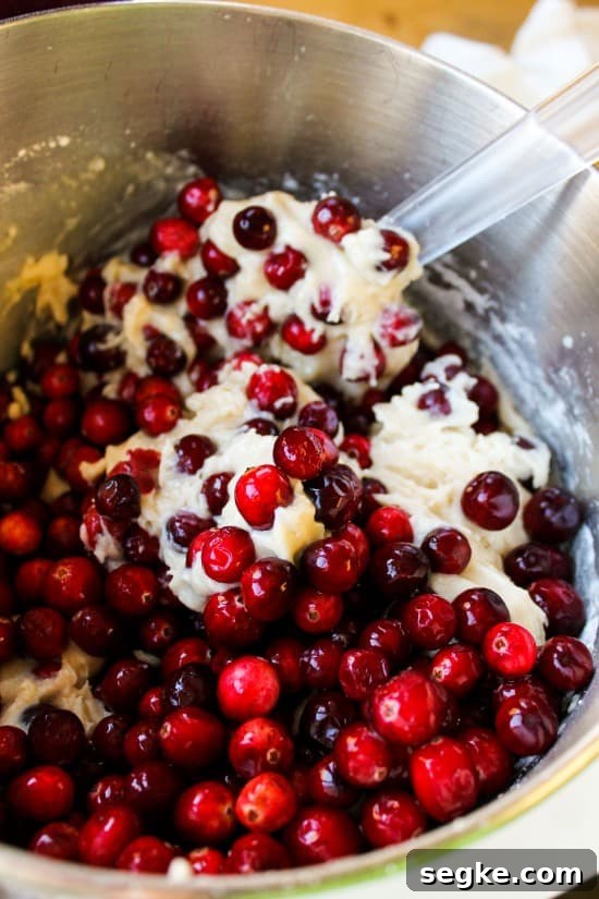 mixing bowl and spoon with cake batter and cranberries.