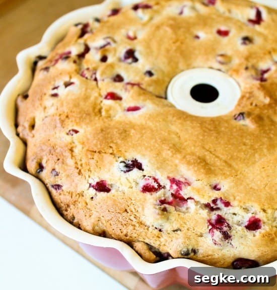 Cranberry Cake in a bundt pan.