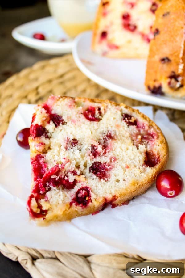 Cranberry Cake sliced and laid flat on a white plate.
