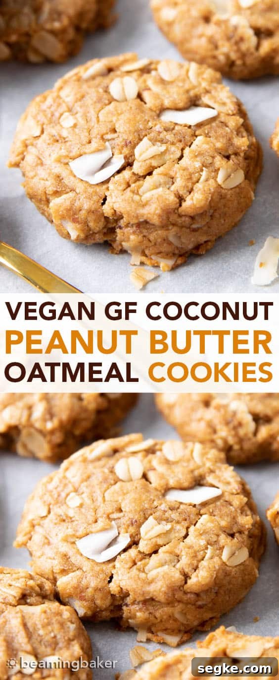 Peanut Butter Coconut Oatmeal Cookies (Vegan, Gluten Free): an easy recipe for deliciously thick, chewy peanut butter cookies bursting with coconut and oats.