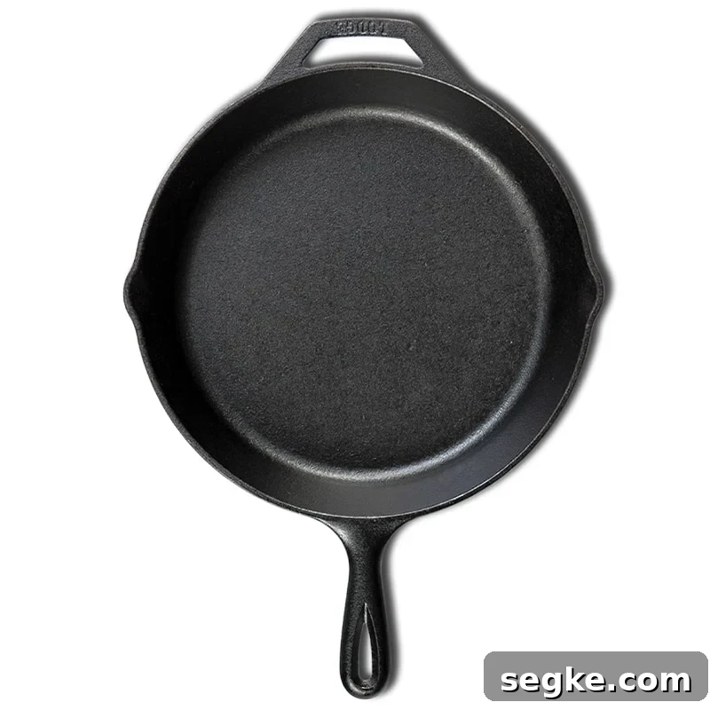 a lodge cast iron skillet