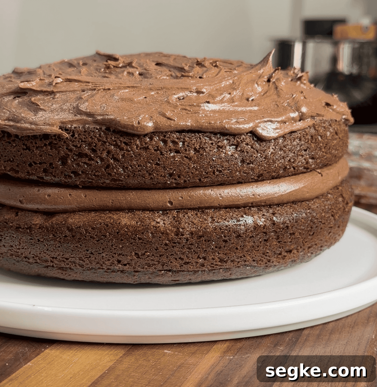 Moist Classic Chocolate Cake Recipe 3 img 6422 3