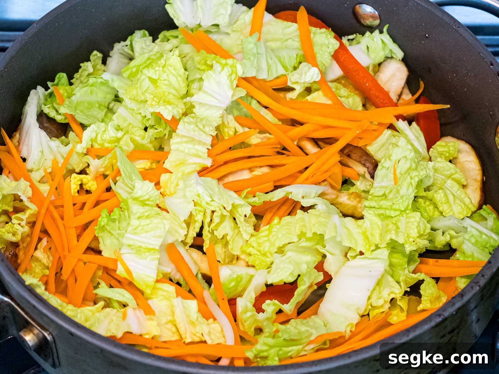 cabbage, carrots, and other vegetables stir fried in a pan