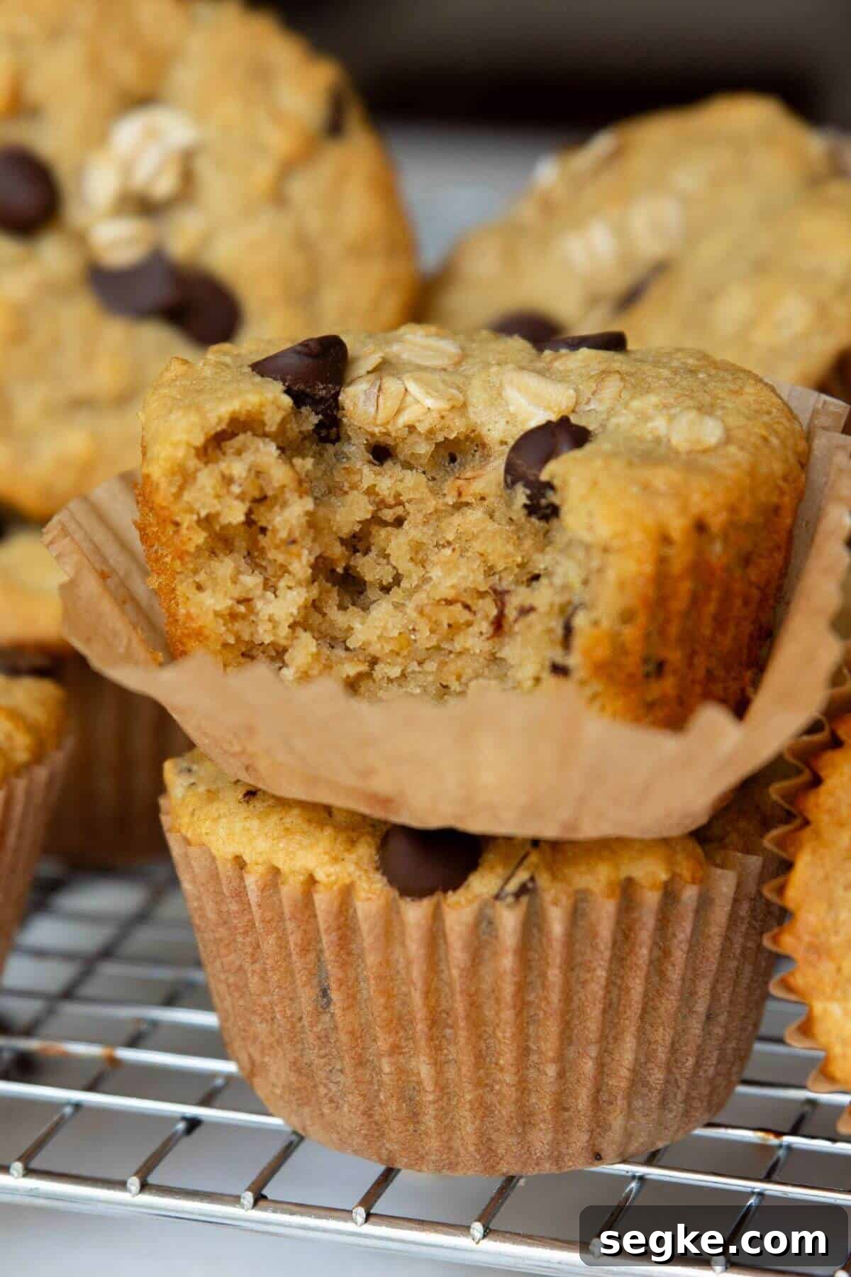 Gluten-free chocolate chip oatmeal muffins naturally sweetened with maple syrup and made without banana.