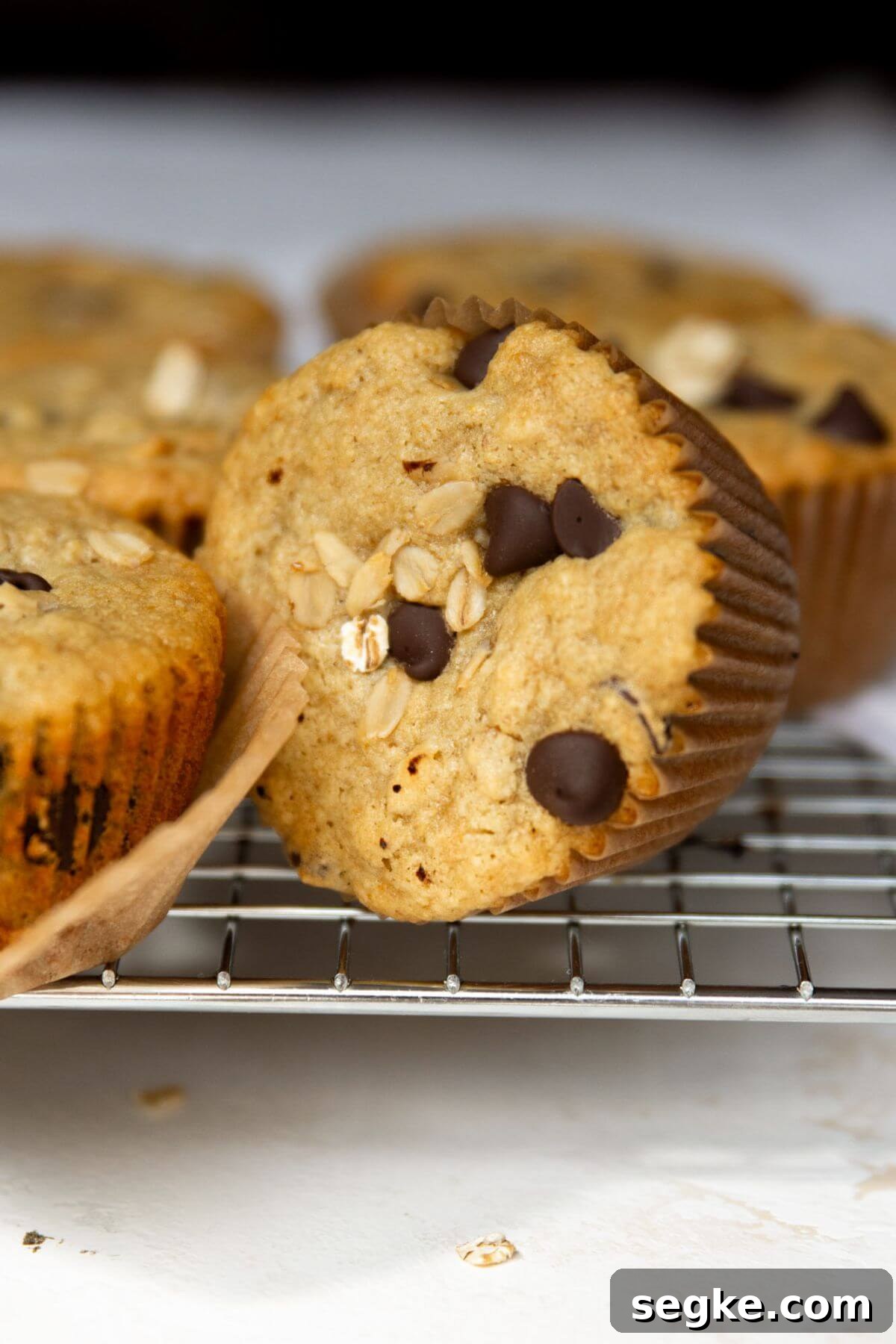 Close up of a healthy chocolate chip oatmeal muffin on a wire rack with oats and chocolate chips on top.