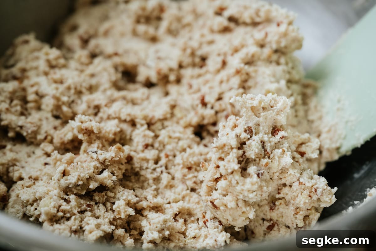 polvoron dough after folding in the dry ingredients. 