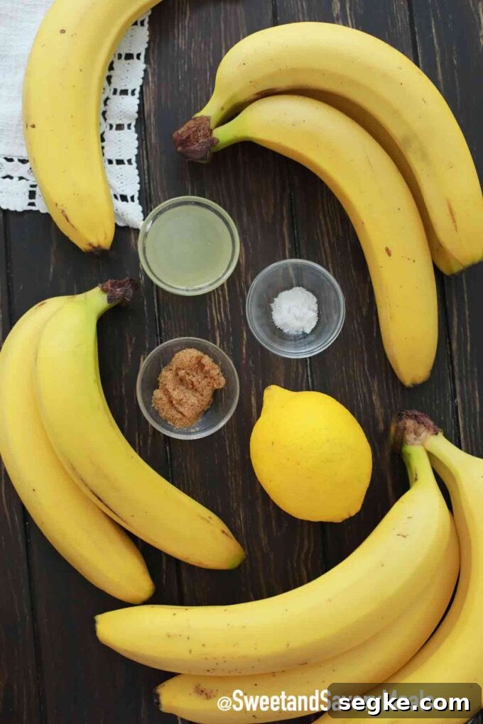 Crispy Homemade Air Fryer Banana Chips 2 banana chips ingredients