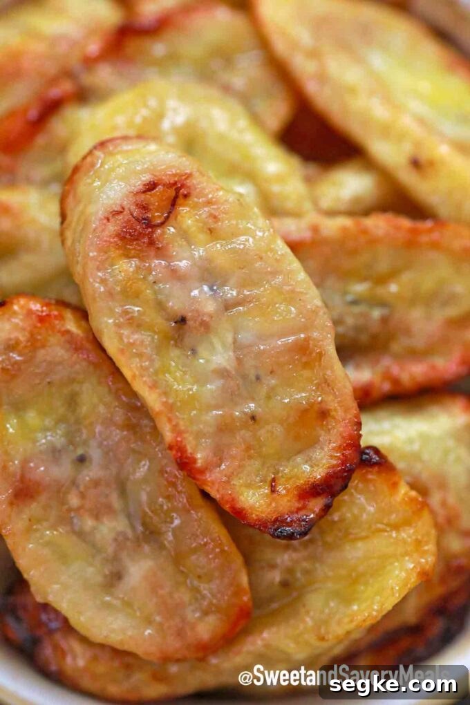 Crispy Homemade Air Fryer Banana Chips 5 banana chips