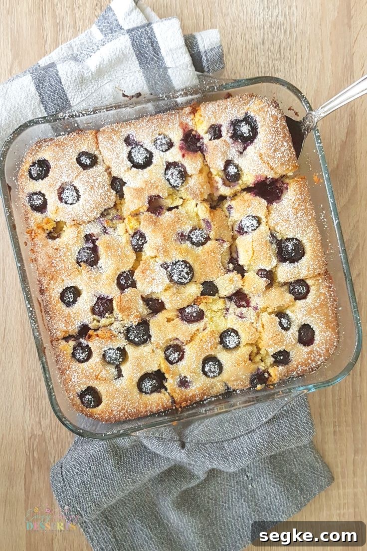 Moist Buttermilk Blueberry Cake Recipe 2 Buttermilk blueberry cake