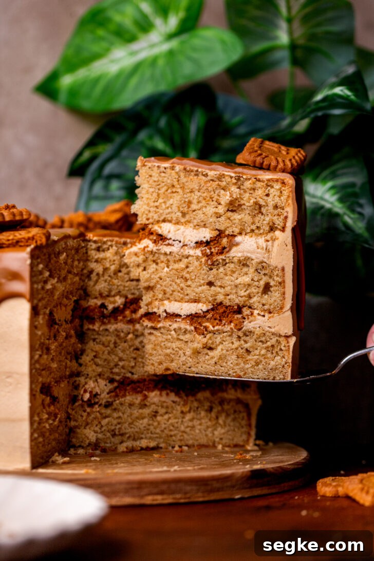 Biscoff Cookie Butter Cake Recipe 2 Taking a slice out of the biscoff cookie butter cake.