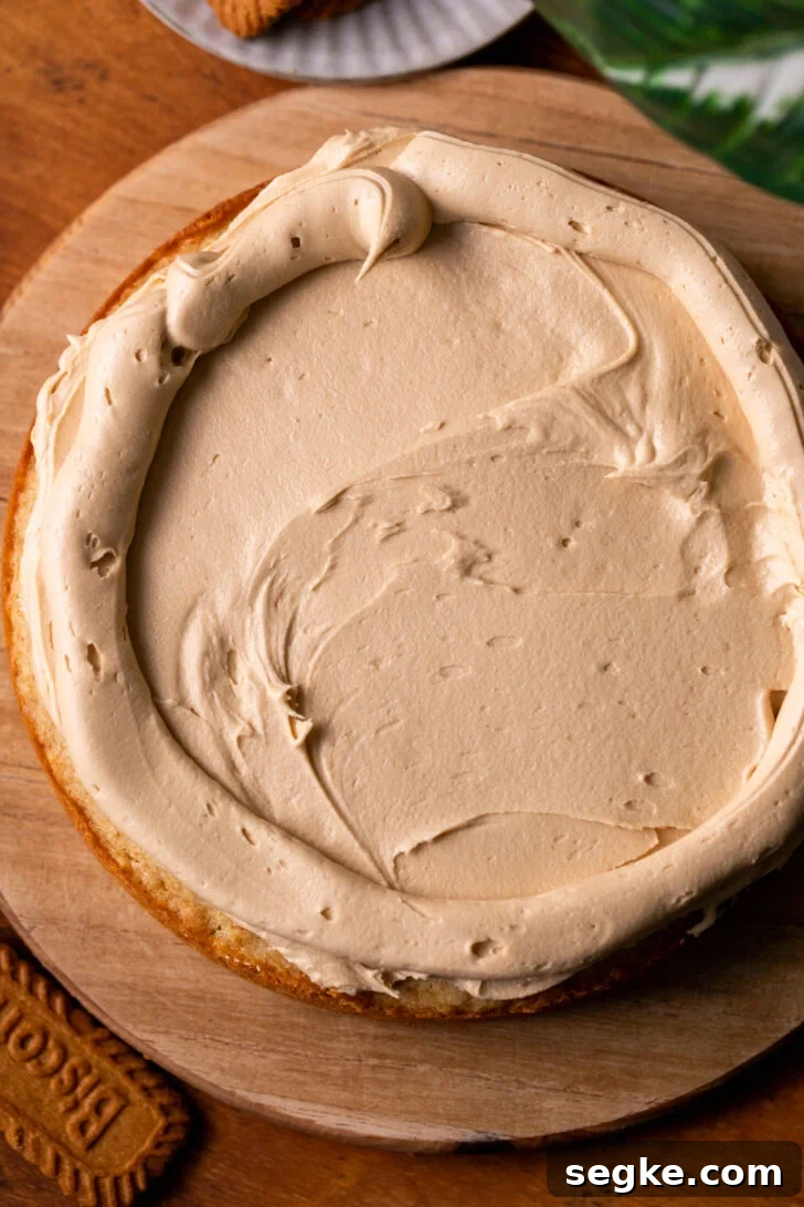 Biscoff Cookie Butter Cake Recipe 5 Cookie butter frosting on top of cake.
