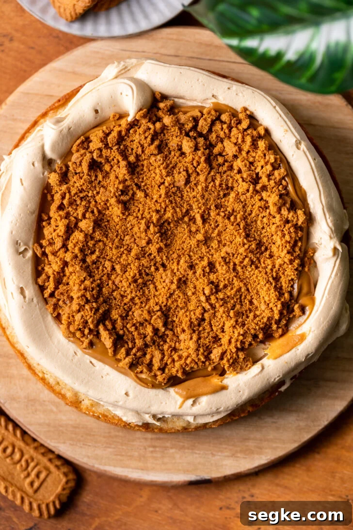 Biscoff Cookie Butter Cake Recipe 6 Crushed cookies on top of cake.