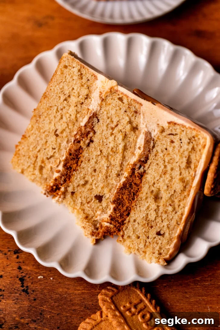 Biscoff Cookie Butter Cake Recipe 8 Slice of cake on a plate.