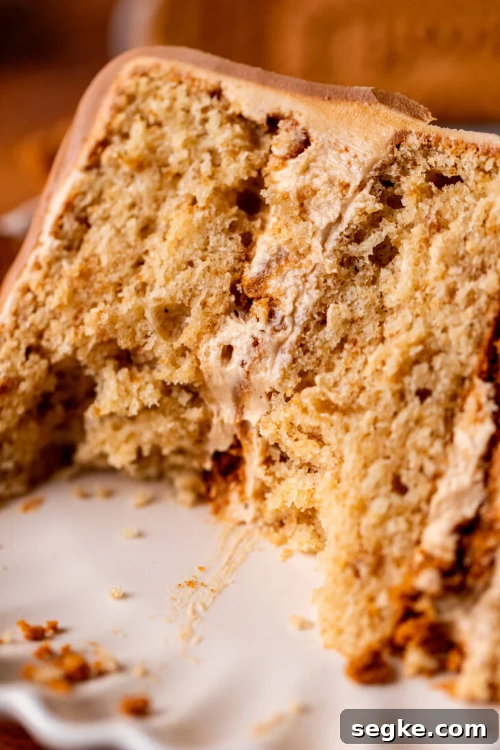 Biscoff Cookie Butter Cake Recipe 9 Close up of slice of cake.