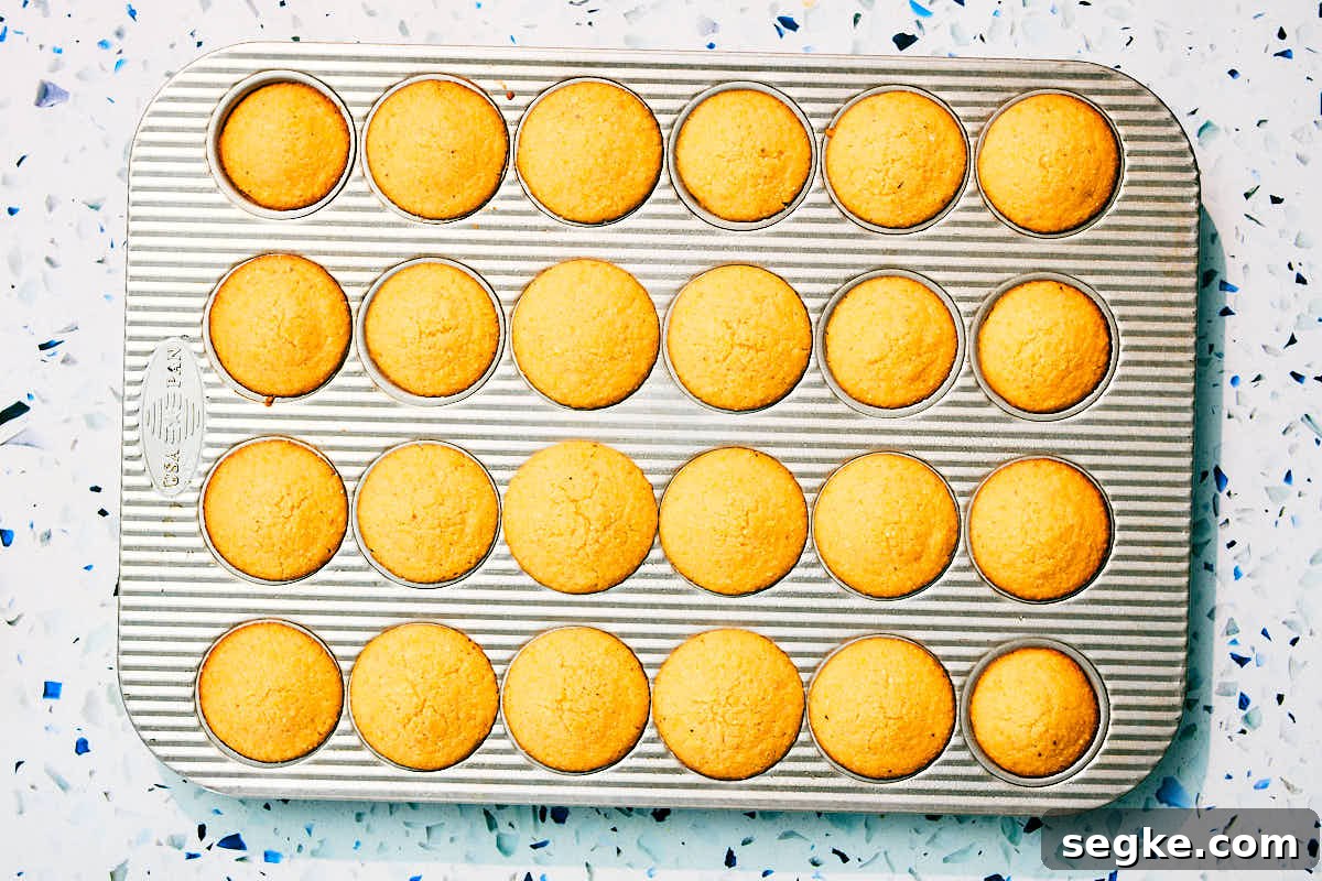 Mini cornbread muffins made without eggs in a muffin tin after baking.