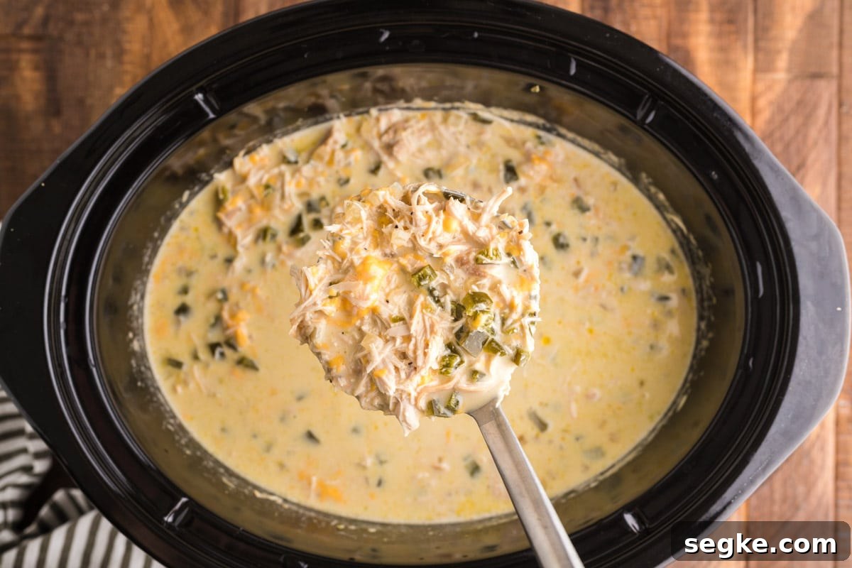scoop of chicken chile soup on a ladle