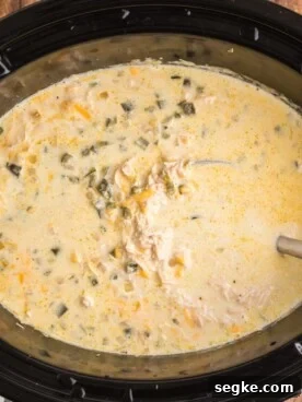 spoon in slow cooker with chile relleno soup