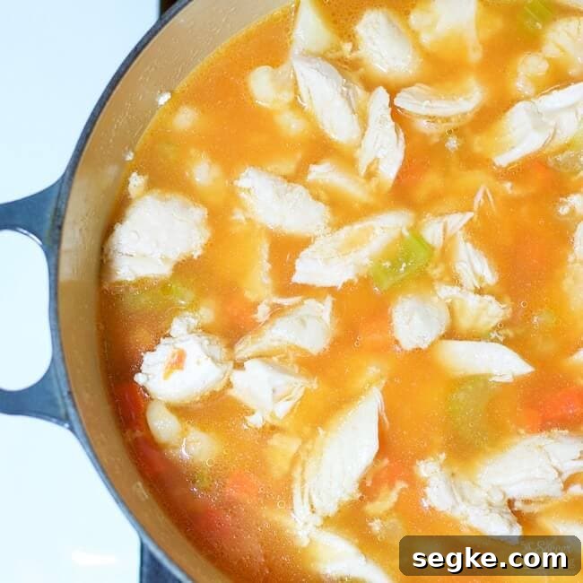 This zesty Buffalo Chicken Soup is sure to be a new family favorite! An easy recipe that will have dinner on the table in 30 minutes!