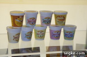 Nancy's Fancy ice cream1