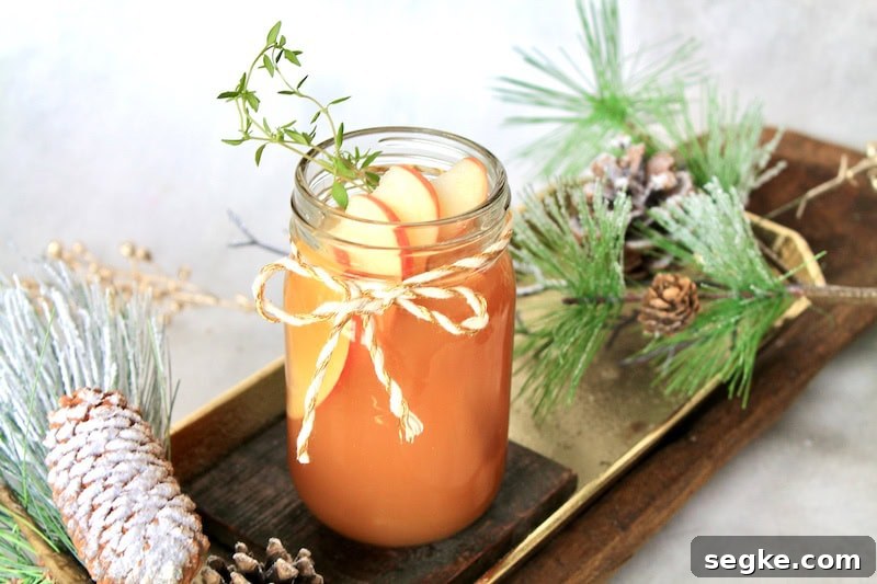 apple brandy fizz cocktail