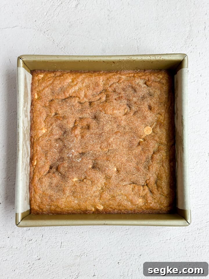 Gingerbread Blondies Recipe: Molasses-Spiced Chewy Bars 6 gingerbread blondies after baking.