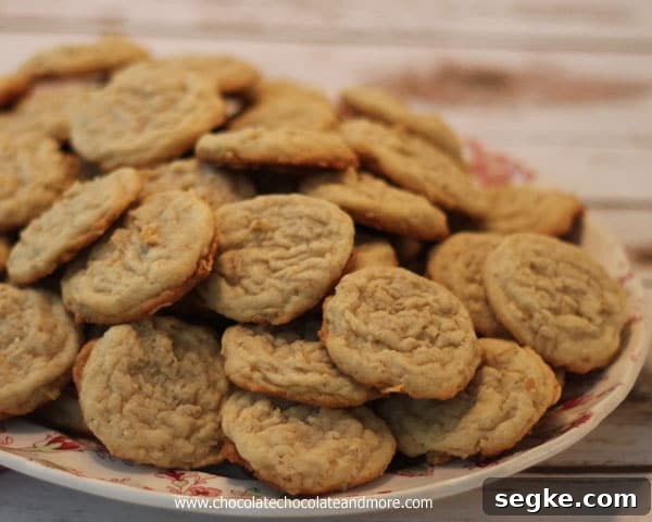 Freshly baked white chocolate oatmeal cookies