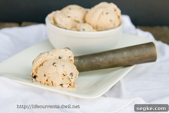 VEGAN CHOCOLATE PECAN ICE CREAM a scoop of ice cream in an ice cream scoop on a plate with a bowl of ice cream in the background.