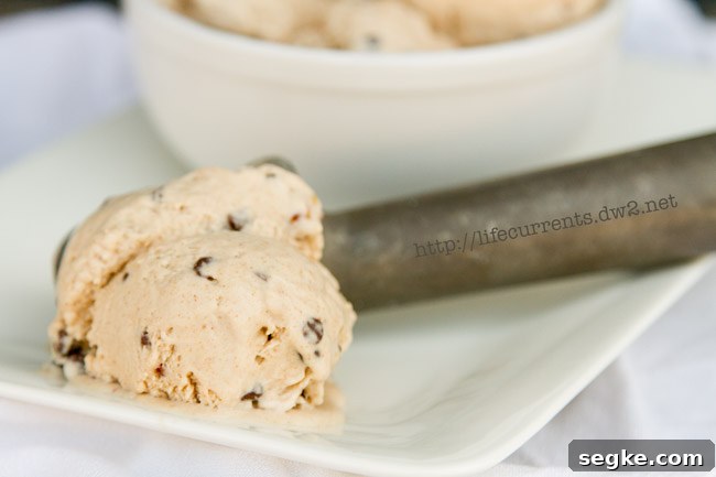 Vegan Chocolate Pecan Ice Cream Recipe a scoop of ice cream in an ice cream server
