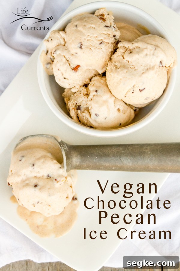 Vegan Chocolate Pecan Ice Cream Recipe Vegan Chocolate Pecan Ice Cream Recipe - Coconut gluten free dairy free chocolate chip pecan pie vegan paleo coconut milk ice cream machine blender vitamix how to make homemade easy healthy