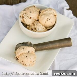 Creamy Vegan Chocolate Pecan Ice Cream Recipe 3 img 11796 6