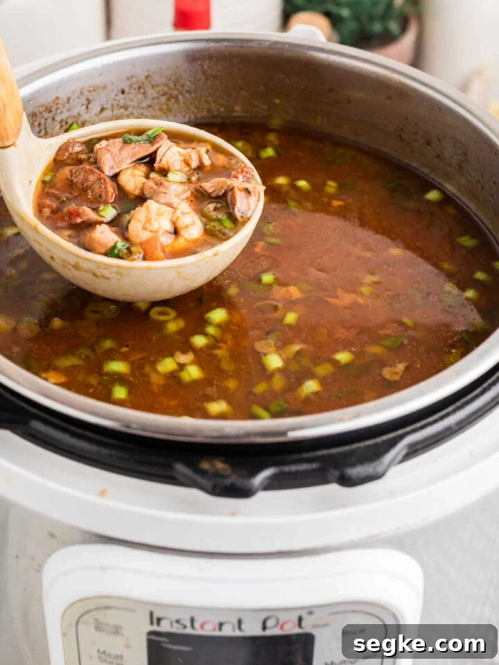 A ladle of gumbo being lifted out of an Instant Pot.