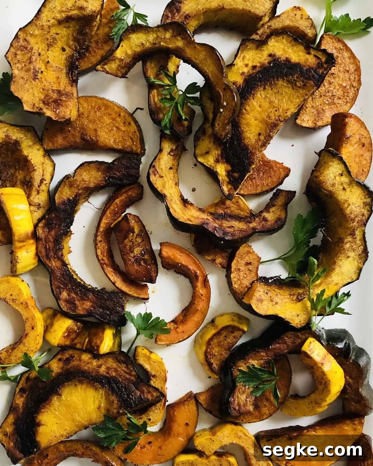 roasted squash - acorn, delicata, butternut and honeynut