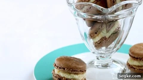 Chocolate Macarons with Orange Buttercream