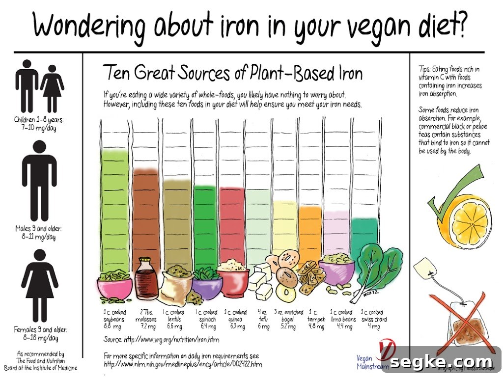 Plant-based iron illustration