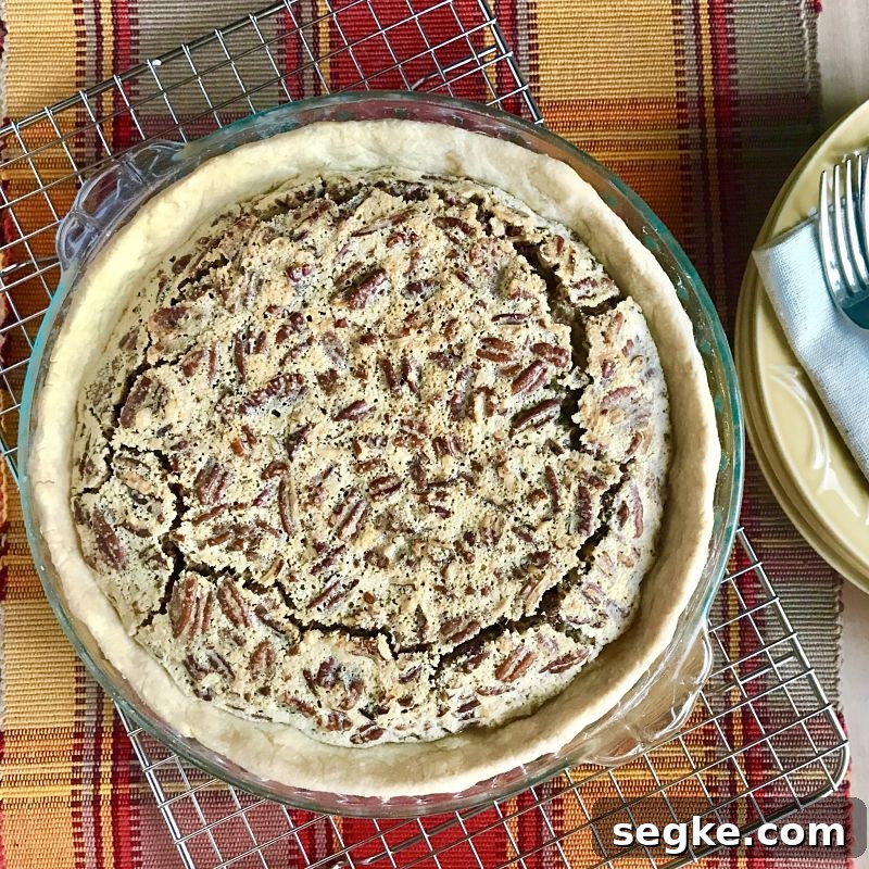Zesty Dairy-Free Lemon Pecan Pie 2 Dairy-Free Lemon Pecan Pie
