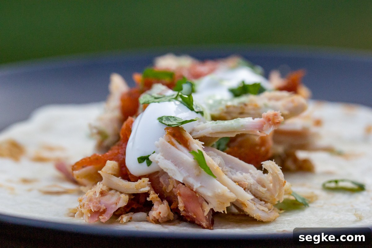 How to Make Smoked Pork Loin Tacos 3 Smoked Pork Loin Tacos