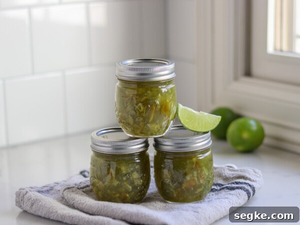 Homemade Blueberry Lime Jelly: Fresh Citrus Preserves 4 Lime Marmalade