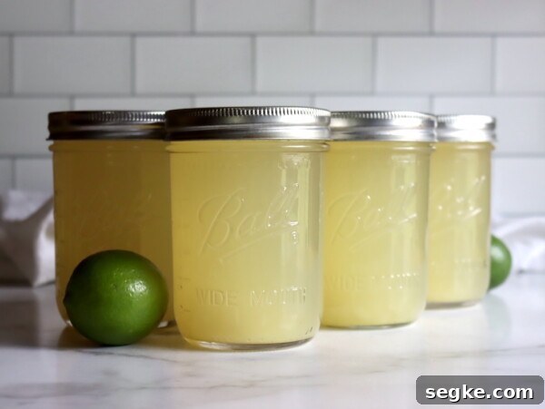 Homemade Blueberry Lime Jelly: Fresh Citrus Preserves 5 Canning Limeade