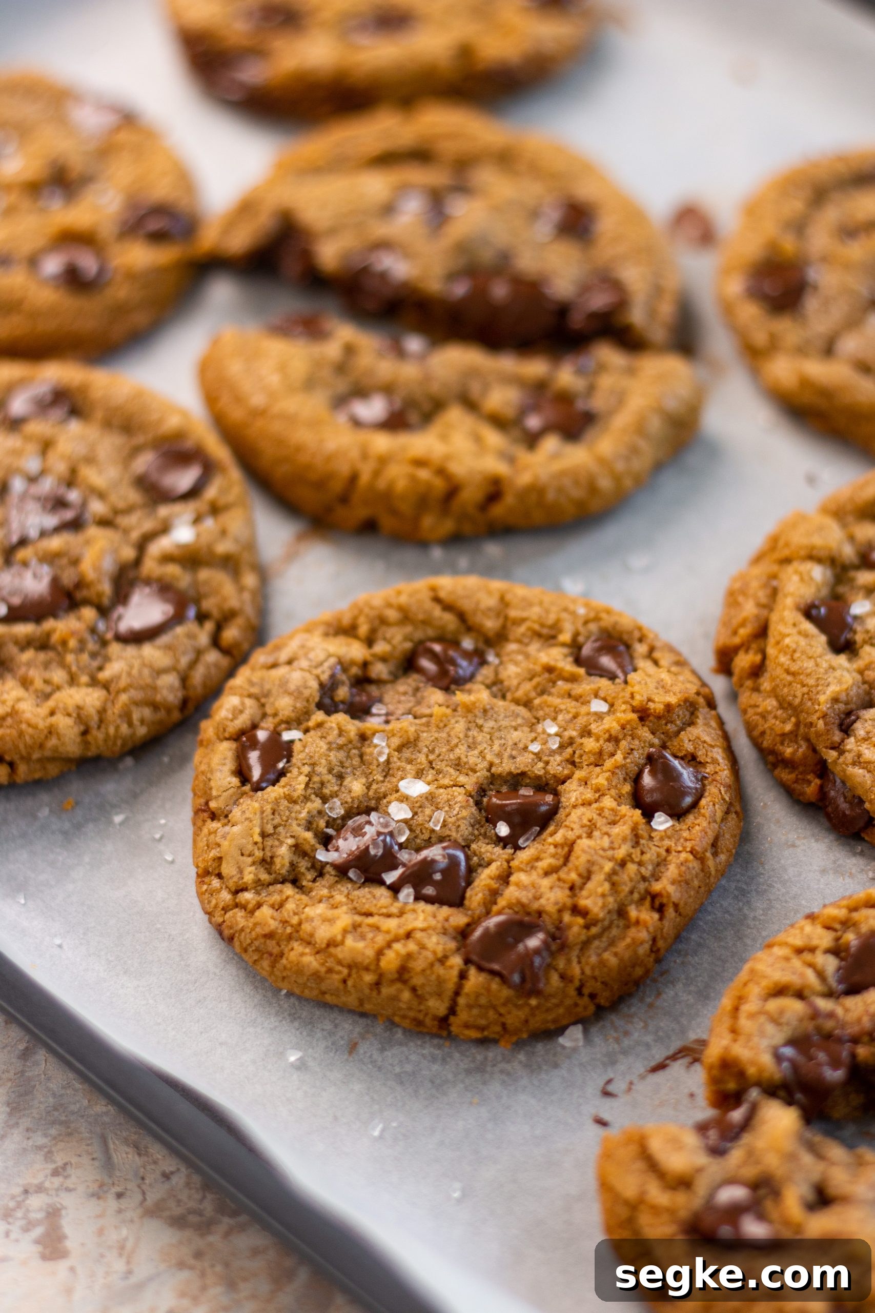 chocolate chip cookies